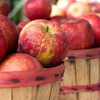 Apple Harvest Soy Candle & Melts