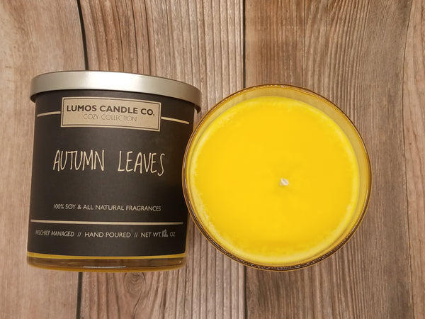 Fall in Minnesota Soy Candle & Melts