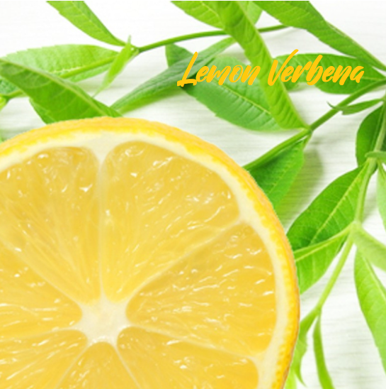 Lemon Verbena Soy Candle & Melts