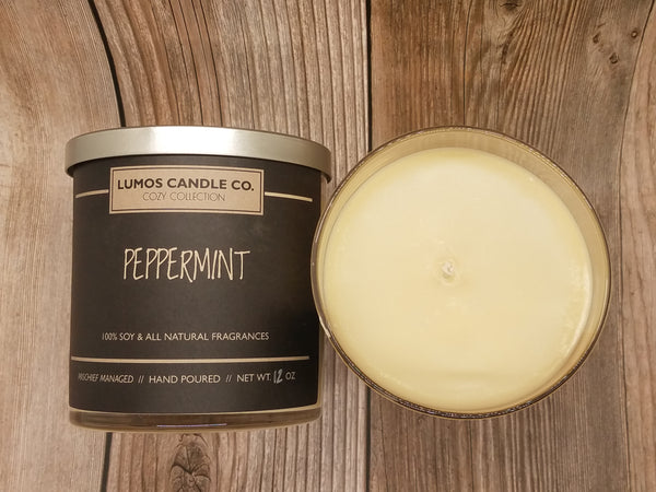 Peppermint Soy Candle & Melts